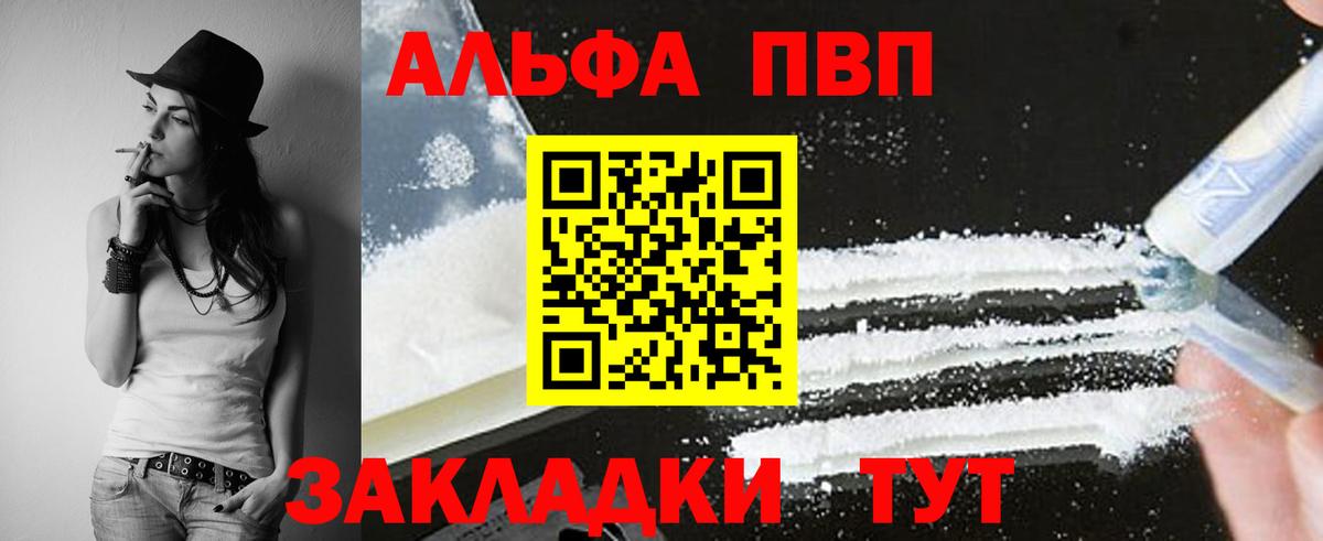 Alfa_PVP СК Камышин